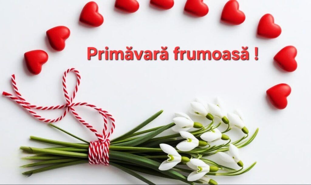 b5822e638045d83a3403ca7659662b2a